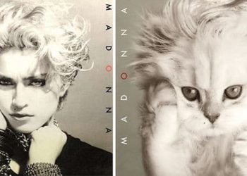 Kitten album covers