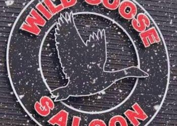 Wild Goose Saloon logo