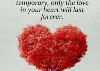 Love lasts forever meme