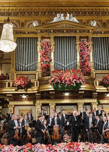 Vienna Philharmonic orchestra